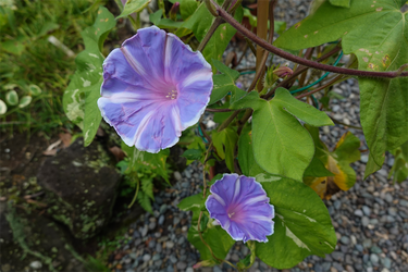 DSC09099_R