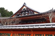 DSCF7703_R