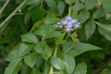 DSC09048_R