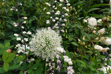 DSC07460_R