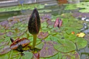 DSCF2702_R
