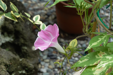 DSC09105_R