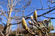 DSCF0706_R