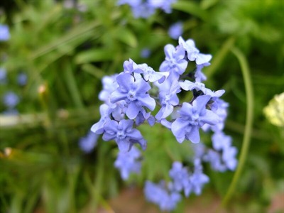 DSCF2553_R