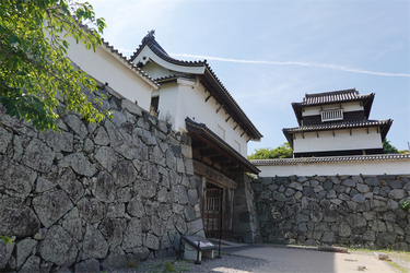 DSC08004_R