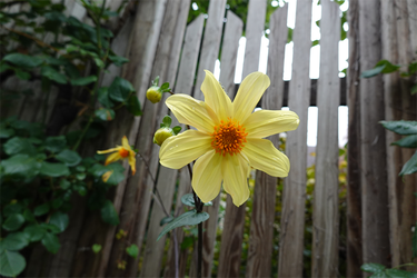 DSC08619_R