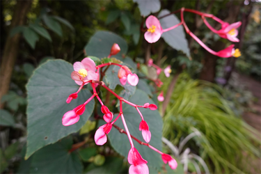 DSC07597_R