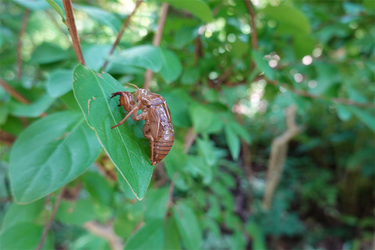 DSC09036_R