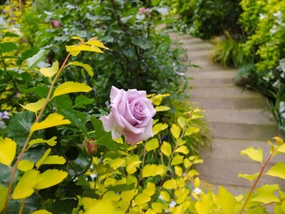 DSCF2582_R