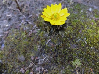 DSCF8361_R