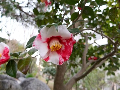 DSCF1231_R