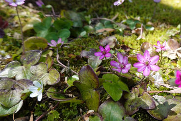 DSC06234_R
