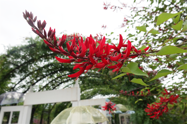 DSC08278_R