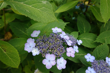 DSC08107_R