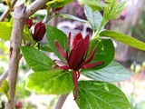 DSCF0913_R