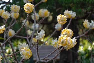 DSC00578_R