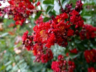 DSC01194_R