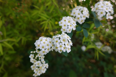 DSC06746_R