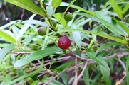 DSCF4133_R