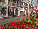 DSCF6291_R