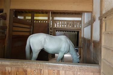 DSC09520_R