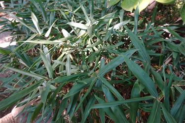 DSC03414_R
