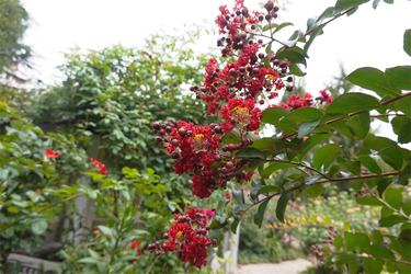 DSC08910_R