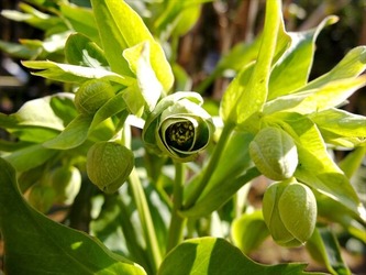DSCF8251_R