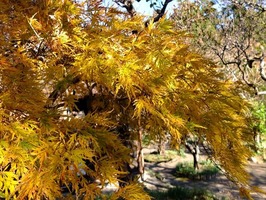 DSCF0082_R