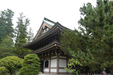 DSC08644_R