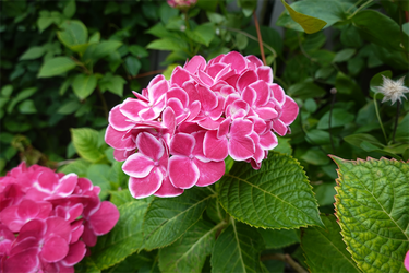 DSC08403_R