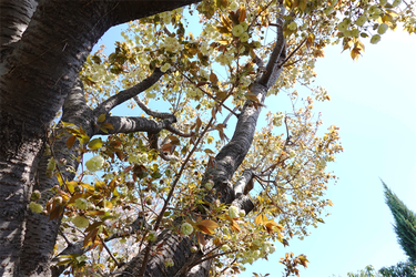 DSC06680_R
