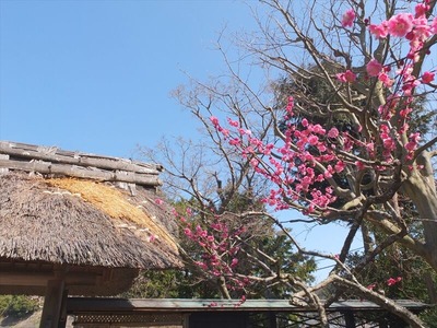 DSCF1058_R