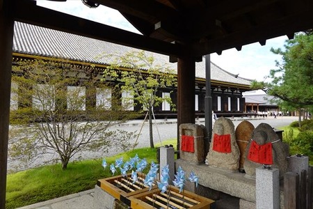 DSC02320_R