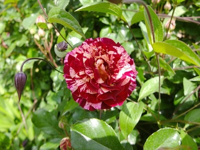 DSCF2792_R