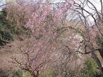 DSCF8846_R