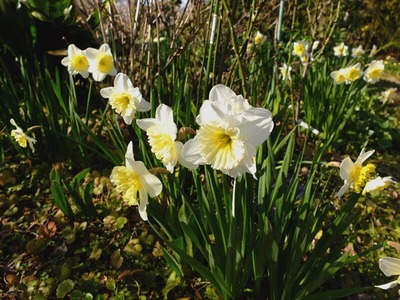 DSCF4626_R