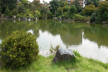 DSC09936 (1)_R