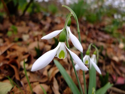 DSCF0854_R