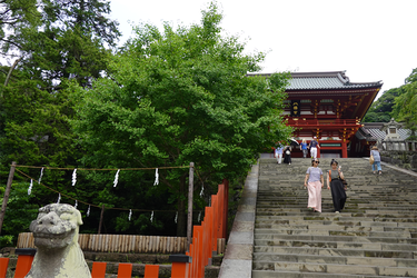 DSC07392_R