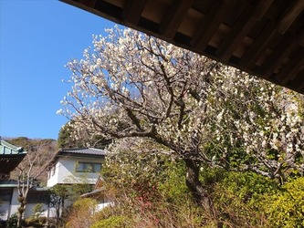 DSCF8402_R