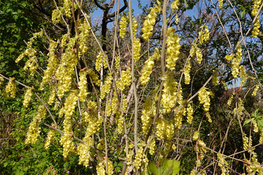 DSC06401_R