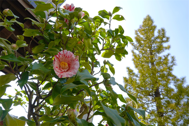 DSC04839_R