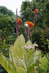 DSC08936_R