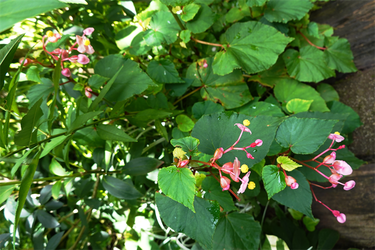 DSC09029_R