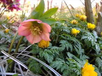 DSCF8548_R