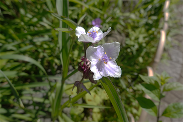 DSC05950_R