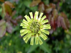 DSCF9739_R