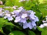 DSCF2215_R