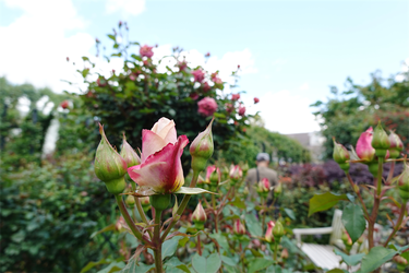 DSC01440_R